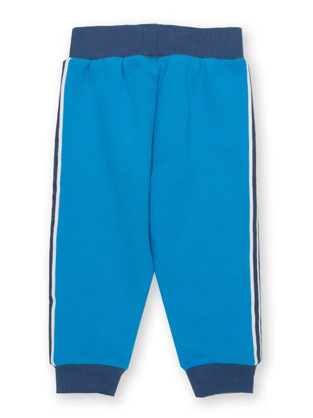 Side stripe joggers blue